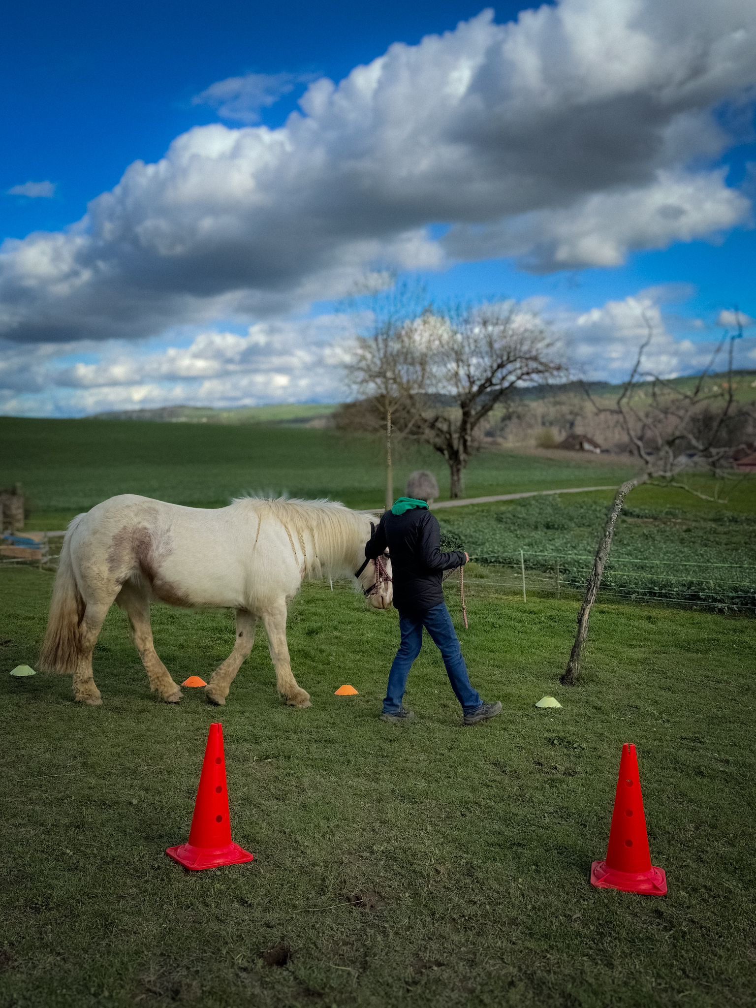 8ad5f96d-9e6b-40ad-aa13-61c3a3e137c7