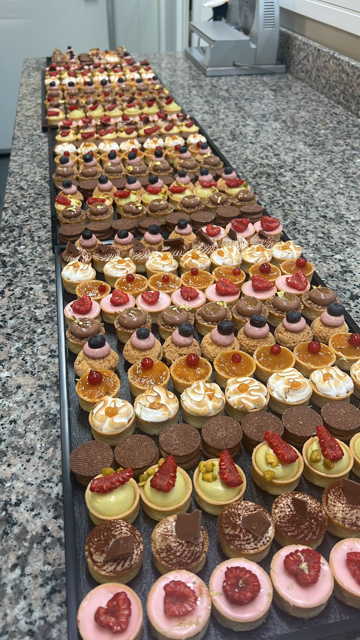 WhatsApp-Image-2024-08-15-a-14.49.43_73eece02